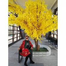 Ginkgo Seed Rare Tree Species Courtyard Planting Scenery Is Charming///20pcs - Yellow - View 9