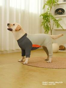 Pet ,Dog Clothes,Dog ,Dog Pajamas,Big Dog , Large Dog Pajamas, Anti Licking, Small Dog Pajamas,Post Surgery Recovery Dog Clothes, Large Dog Jammies,Long Sleeve Prevent Shedding,Doggy Air Conditioner Suit,Recovery Suit For Large Medium Bodysuit Dogs,Pet Summer Dreathable Costume,Extra-Large Elasticity,(Suitable For 10 - 120 Pounds) - Grey - View 6