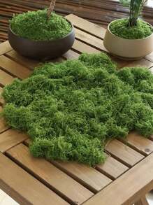 Décoration de mousse artificielle - verdure réaliste - parfait pour les micro-paysages, la décoration de fenêtre et les compositions de design. Fausse mousse biotique artificielle, décoration de micro-paysage en mousse verte, plante verte DIY pour pelouse, plante en pot, décoration de paysage, décoration de jardin extérieur