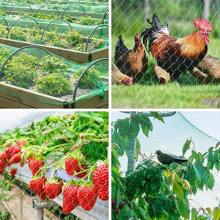 1 Pc Bird Protection Net, Garden Plant Mesh, Protecting Plants And Fruit Trees From Birds, Deer, Poultry, Best Fencing Anti-Bird Net Garden Net Orchard Anti-Bird Net Polyethylene Anti-Bird Net Extrusion Anti-Bird Net Grape Anti-Green Anti-Bird Net