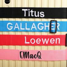 1pc Customized Embroidered Luggage Strap, Personalized Luggage Belt With Your Name/Text, Luggage Protector And Identifier, Suitable For Outdoor Travel,All-Purpose,Large Capacity,Versatile,Multifunction,Colorful,Cute,Adorable,Contracted,Funny,Kawaii,Y2K,Minimalist,Commuting,Business Casual,Basics,Custom,Personalized,Unique,Customized,Ideal Gifts For Him,Ideal Gifts For Her,Her,Family,Friends,Girlfriend,For Anniversaries,For Birthdays,For Holiday/ Vacation,For Outdoors/Outings/Travel/Hiking/Stadium/Sports/Climbing,For Business/Commute/Work/Office,Vacation,Vacation,School Supplies,Back To School,For Office,For School,For Classroom,For Teacher Gifts,For University,For Colleague,For Dorm Rooms,For Teacher,For Boys And Girls,For Teenagers,Junior High School Students,Middle School Students,High School Senior High School Students,College Students,University Students,Freshman,Sophomore,Underclassmen - Multicolor - View 8