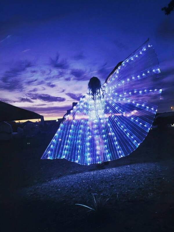 Elegant Exquisite Fairy LED Wings Cape Props, Wings Decoration Dance Photography Dress Up, Halloween Christmas Cosplay Costume Props, Birthday Party Outdoor Decoration Stage Performance Accessories, Adult Christmas Gifts (Without Batteries)
