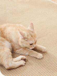 直立式剑麻猫抓板 - 不掉毛猫抓板，剑麻猫床的替代品，保护家具、地毯、沙发免受抓挠