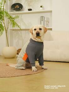 Pet ,Dog Clothes,Dog ,Dog Pajamas,Big Dog , Large Dog Pajamas, Anti Licking, Small Dog Pajamas,Post Surgery Recovery Dog Clothes, Large Dog Jammies,Long Sleeve Prevent Shedding,Doggy Air Conditioner Suit,Recovery Suit For Large Medium Bodysuit Dogs,Pet Summer Dreathable Costume,Extra-Large Elasticity,(Suitable For 10 - 120 Pounds) - Grey - View 7