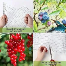 1 Pc Bird Protection Net, Garden Plant Mesh, Protecting Plants And Fruit Trees From Birds, Deer, Poultry, Best Fencing Anti-Bird Net Garden Net Orchard Anti-Bird Net Polyethylene Anti-Bird Net Extrusion Anti-Bird Net Grape Anti-Green Anti-Bird Net