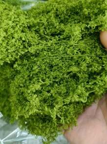 Décoration de mousse artificielle - verdure réaliste - parfait pour les micro-paysages, la décoration de fenêtre et les compositions de design. Fausse mousse biotique artificielle, décoration de micro-paysage en mousse verte, plante verte DIY pour pelouse, plante en pot, décoration de paysage, décoration de jardin extérieur