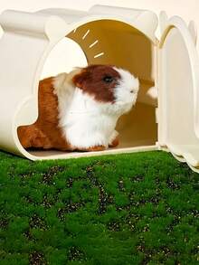 1pc Transparent Hamster Habitat, Cartoon Magnetic Cage With Bear & Flower Branch Design, Suitable For All Seasons, Comfortable Hamster Hideaway, Durable Material, Small Pet Supplies - Multicolor - View 4