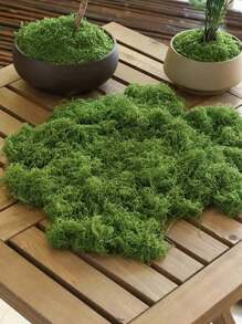 Décoration de mousse artificielle - verdure réaliste - parfait pour les micro-paysages, la décoration de fenêtre et les compositions de design. Fausse mousse biotique artificielle, décoration de micro-paysage en mousse verte, plante verte DIY pour pelouse, plante en pot, décoration de paysage, décoration de jardin extérieur