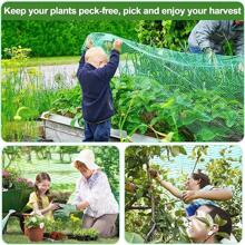 1 Pc Bird Protection Net, Garden Plant Mesh, Protecting Plants And Fruit Trees From Birds, Deer, Poultry, Best Fencing Anti-Bird Net Garden Net Orchard Anti-Bird Net Polyethylene Anti-Bird Net Extrusion Anti-Bird Net Grape Anti-Green Anti-Bird Net