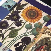 Twenty Fanatical Symphony Cards, Retro Magazine-Style Background Decorative Wall Stickers, INS-Style Postcards, DIY Message Cards, With Dot Stickers As A Bonus. School Supplies, Back To School - D-oil Painting Traces - View 8