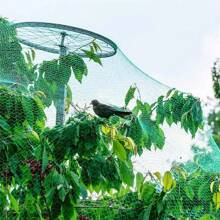 1 Pc Bird Protection Net, Garden Plant Mesh, Protecting Plants And Fruit Trees From Birds, Deer, Poultry, Best Fencing Anti-Bird Net Garden Net Orchard Anti-Bird Net Polyethylene Anti-Bird Net Extrusion Anti-Bird Net Grape Anti-Green Anti-Bird Net