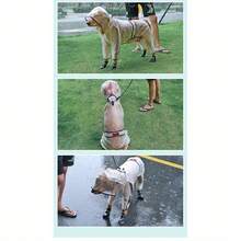 Puppy Dog Raincoat Four-Legged Waterproof All-Inclusive Large Dog Raincoat Pet Medium And Large Dog Small Dog Rainy Day Clothes Poncho - 透明的 - 查看 7