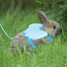 2 Stücke Engelsflügel Geschirr und Leine Set, einziehbare verstellbare Leine Brustgeschirr geeignet für kleine Haustiere
