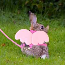 2 Stücke Engelsflügel Geschirr und Leine Set, einziehbare verstellbare Leine Brustgeschirr geeignet für kleine Haustiere