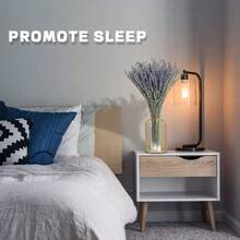 50-200枝天然干薰衣草花束，适合家居装饰