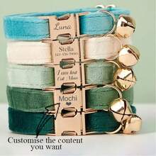 定制天鹅绒猫狗项圈套装，带抽绳、刻字宠物身份牌和金色铃铛，个性化宠物礼物装饰，复古、可爱、简约、独特，周年纪念、生日、假期、户外生活方式等场合的个性化宠物礼物