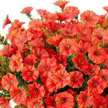 4pcs Artificial Outdoor Decorative Fake Flowers, 7-Branch Imitation Morning Glory, Harvest Festival Thanksgiving Decoration, 1 Stem 21 Flowers, UV Resistant Fake Plants & Shrubs, Multicolor For Spring Summer Autumn, Suitable For Garden Porch Window Balcony Lawn Potted Plant Wedding Decor