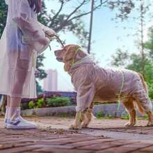 Puppy Dog Raincoat Four-Legged Waterproof All-Inclusive Large Dog Raincoat Pet Medium And Large Dog Small Dog Rainy Day Clothes Poncho - 透明的 - 查看 4