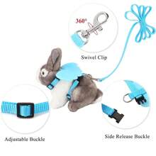 2 Stücke Engelsflügel Geschirr und Leine Set, einziehbare verstellbare Leine Brustgeschirr geeignet für kleine Haustiere