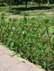 1pc Artificial Ivy Trellis Net, Fake Plant, Expandable Fence, Wooden Lattice, Garden Decor Vine, Faux Ivy Leaf Fence, Privacy Screen, Adjustable, For Room, Home, Wall, Birthday, Kitchen, Gift, Bedroom, Wedding, Living Room, Garden, Outdoor Decor - Green Radish Leaves - View 3