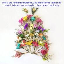 6pcs Mini Bouquets Real Dried Flowers, Immortal Flowers Wedding Favor Gifts, Office Desk, Living Room, Bedroom Decor Birthday Graduation