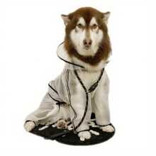 Puppy Dog Raincoat Four-Legged Waterproof All-Inclusive Large Dog Raincoat Pet Medium And Large Dog Small Dog Rainy Day Clothes Poncho - 透明的 - 查看 5