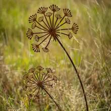 1 Stück natürlich rostiges Metall Gartenstecker Deko, modernes Blumendesign, witterungsbeständiges rustikales Äußeres, geeignet für Garten, Terrasse, Balkon, Blumentopf, perfektes Muttertagsgeschenk, Gartendekoration, Gartenausstattung