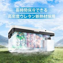Car Refrigerators