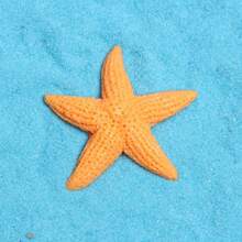 5pcs Creative Starfish Series Fridge Magnets, Interesting Home Decor Magnetic Stickers For Office Whiteboard, Living Room, Kitchen, Dishwasher, Cabinet, Variety Of Colors, Weekly Special