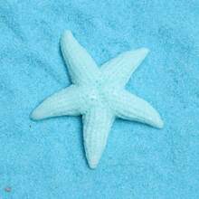 5pcs Creative Starfish Series Fridge Magnets, Interesting Home Decor Magnetic Stickers For Office Whiteboard, Living Room, Kitchen, Dishwasher, Cabinet, Variety Of Colors, Weekly Special
