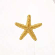 1 pieza Broche de estrella de mar de aleación minimalista de moda, accesorio de vestir para uso diario