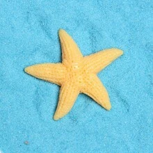 5pcs Creative Starfish Series Fridge Magnets, Interesting Home Decor Magnetic Stickers For Office Whiteboard, Living Room, Kitchen, Dishwasher, Cabinet, Variety Of Colors, Weekly Special