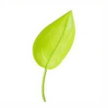 1 Creative Potted Plants With Leaf Shaped Drainage And Watering Funnels, Plant Drainage And Watering Devices, Compact And Easy To Use