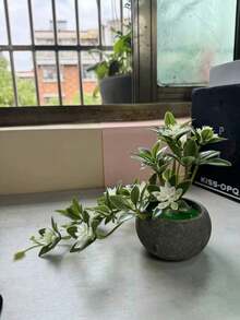 ديكور صخري محاكي بمصغر زهرة اللوتس، زخرفة طاولة