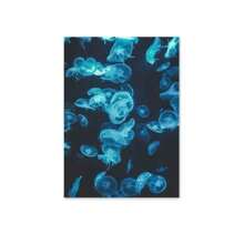 1 Pc Optional Frame Posters Wall Arts Seascape Underwater World Diving Poster Jellyfish Wall Art Nordic Canvas Prints Paintings Home Decor Wall Pictures ,Wall Art With Frame