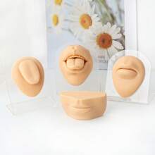 1 Peça Modelo de Corpo Humano de Silicone Macio e Flexível em Cor de Pele, Molde de Recursos Faciais como Orelha, Olho, Nariz, Língua, Ferramenta de Uso, Acessórios de Prática de Perfuração na Pele