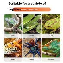 Reptile Green Iguana Hammock Aquarium Glass Terrarium Vivarium Jungle Cage With Suction Cup, Suspended Reptile Arboreal Cradle - Multicolor - View 8