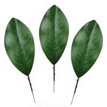 10/15 piezas Hojas verdes artificiales de magnolia, hojas de magnolia artificiales falsas para guirnaldas DIY, marcadores de libros, accesorios de fotografía, decoración de bodas, decoración de tarjetas de boda con estilo natural, decoración del Día de la Madre, plantas falsas