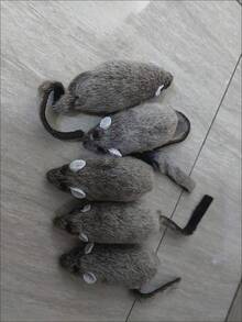 全新可爱有趣的猫咪毛绒逼真老鼠，适合放松、自娱自乐、磨牙、咬人、玩乐、宠物猫玩具 - 深灰色 - 查看 1