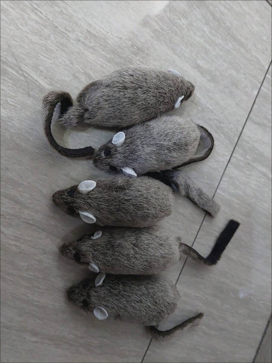 全新可爱有趣的猫咪毛绒逼真老鼠，适合放松、自娱自乐、磨牙、咬人、玩乐、宠物猫玩具 - 深灰色 - 查看 1