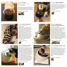 1Pc Pet Stainless Steel Double Bowl, Medium And Small Dog/Cat Melamine And Stainless Steel Food And Water Bowls, Anti-Spill Dual Pet Bowl Set, 2-In-1 Pet Bowl Cat And Dog Pet Feeding Bowl, 15-Degree Tilt, Anti-Choke, Anti-Whisker Fatigue Puppy Keep Dog Things Dog Accessories Dog Stuff