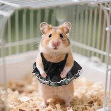 1 pieza Lindo vestido de punto para hámster, ropa suave para animales pequeños, vestido transpirable para fiesta, traje de fotografía al aire libre, accesorios de vestir para cobayas