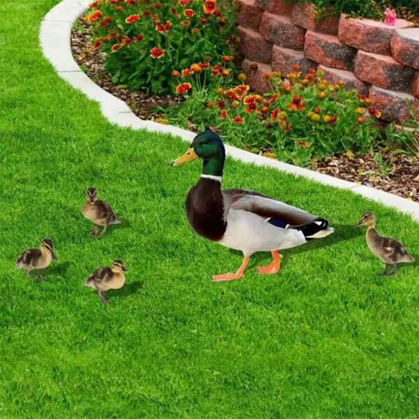 Lot de 5, canards plats 2D en acrylique, thème animalier, convient pour la décoration extérieure dans les jardins, cours, pelouses. Parfait pour embellir les espaces extérieurs, cadeau de décoration pour les fêtes