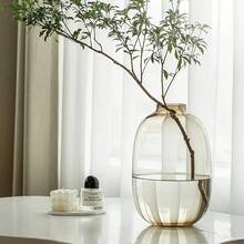 Amber Color/Light Gray/Transparent Glass Vase Round Clear Colored Flower Vase For Centerpiece Long Stem Branch Fresh Artificial Plant Bottle Modern Home Indoor Decoration - Multicolor - View 11