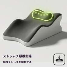 Other Function Pillows & Positioners