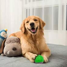 1 szt. Kolor Losowe Zabawki Dla Psów, Ciekawe Zabawki Dla Psów, Dwukolorowa Elastyczna Piłka TPR, Zabawka Do Gryzienia Dla Zwierząt, Odporna Na Gryzienie Zabawka Do Czyszczenia, Piłka Gumowa TPR, Zabawki Dla Psów