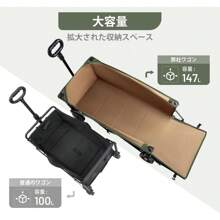 Portable Shopping Carts