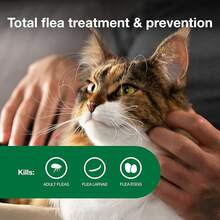 Large Vet-Recommended Flea Treatment & Prevention |   Cats Over 9 Lbs. |   6-Month Supply - Large Cat only - 查看 2