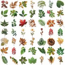 200pcs Green Plants Leaves Flowers Sticker Transparent PET Aesthetic Gift Stickers For Phone Scrapbook Album Guitar Suitcase Craft Supplies DIY Sticker - 1 Set - View 3