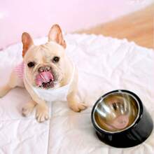 1Pc Pet Stainless Steel Double Bowl, Medium And Small Dog/Cat Melamine And Stainless Steel Food And Water Bowls, Anti-Spill Dual Pet Bowl Set, 2-In-1 Pet Bowl Cat And Dog Pet Feeding Bowl, 15-Degree Tilt, Anti-Choke, Anti-Whisker Fatigue Puppy Keep Dog Things Dog Accessories Dog Stuff